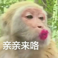 木木wz个人资料