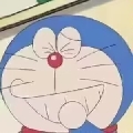 萨西布狸