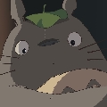 一只大龙猫a