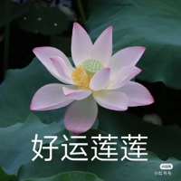 七到八分饱y个人资料