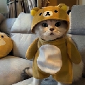 言晞a绝地求生