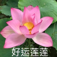西西囍吖个人资料