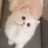 小婷崽汁ouo个人资料