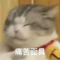 媛媛狸狸