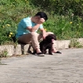 黔机枪