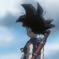 75494803