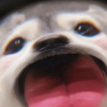 大腦空白的久川