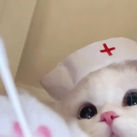 天才小奶糕个人资料