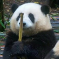 648小破船