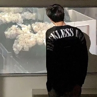 凯King文个人资料