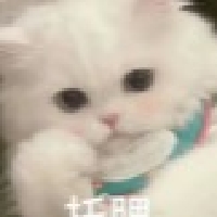 卡莎KDA个人资料