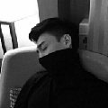 孤岛下求生的鲸