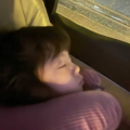 迷糊的叮当猫
