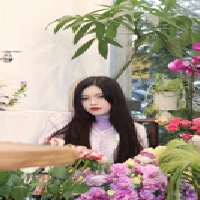 惜曼小姐个人资料