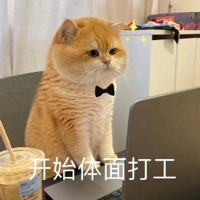 热心市民小鱼i个人资料