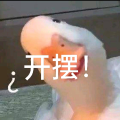 骆大鹅