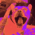 Xtsssssss