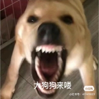 小小泥o个人资料