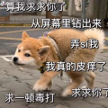 十二於菟
