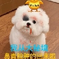 醉丶最最