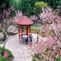 沁恬芯个人资料