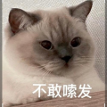 干海椒抄手丶