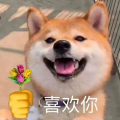 陆泊琛