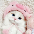 lovesigubai