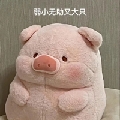 小猪pigy