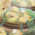 晓坷