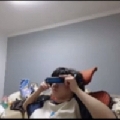 爱吃果果的憨批龙