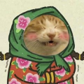 扑朔迷黎赵锦辛