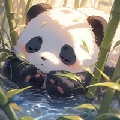 Drjay丶