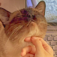 爱吃蛋白的诺妮