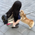 小伊世界