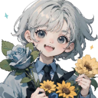 想陪毛无敌去看流星雨