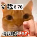 DNF猫白