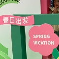 香菜菜i