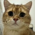 烟云至