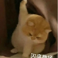 永济渠畔