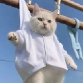 沐沐Muuu