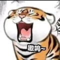 铁头hum