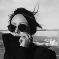 黑夜里求生的鹿
