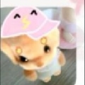 小怡大王zzz