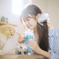 晚照对晴