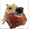 用户2252159405
