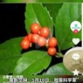 依砌茹满是尘埃