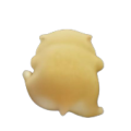 到處溜達的小豬崽子