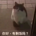 橘味小龙虾
