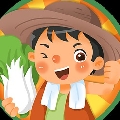 我是飛翔人生